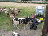 Liz with Nipper, and her herd of Soay sheep